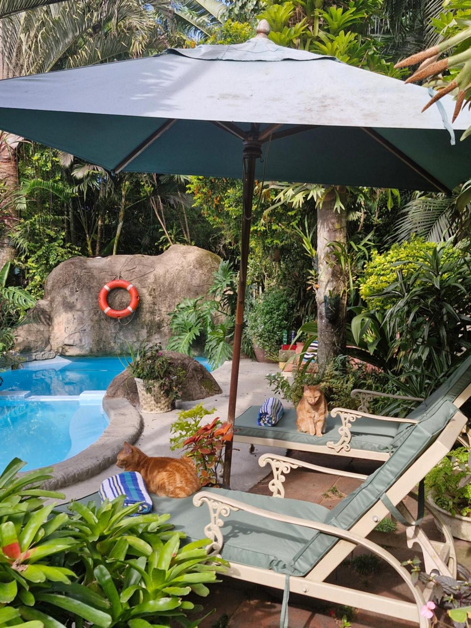 African Ambience Guest House Сент-Люсия Экстерьер фото